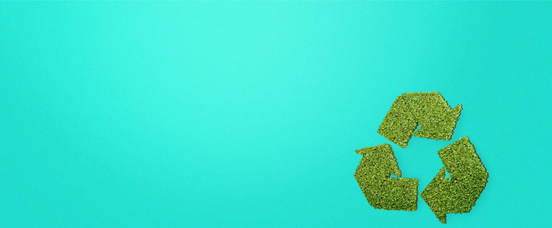 Sustainability - Saxon Packaging